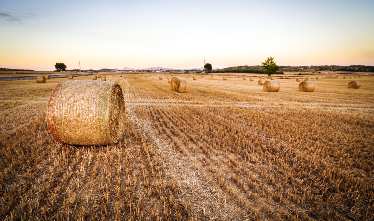 中國已成為越南農產品第二大出口國(圖1)
