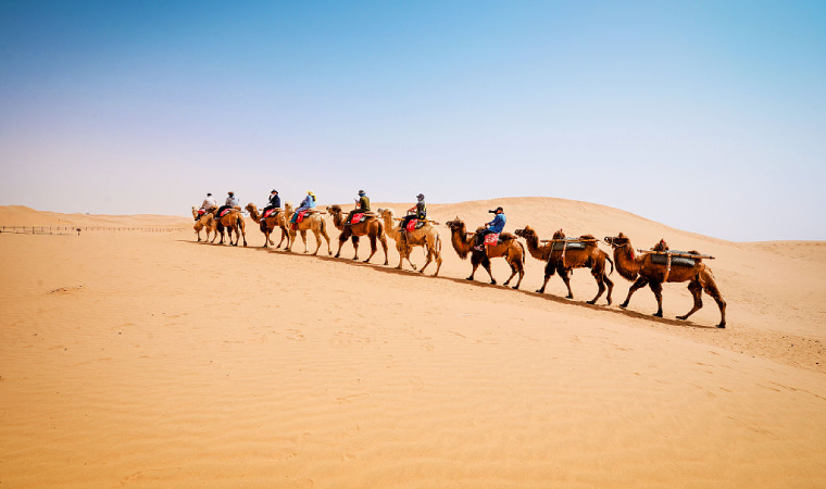 寧夏外貿企業借助RCEP在海外市場“乘風破浪”