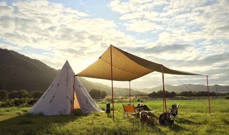 中國氈布/帳篷超越口罩成為行業最大的出口產品(圖1)