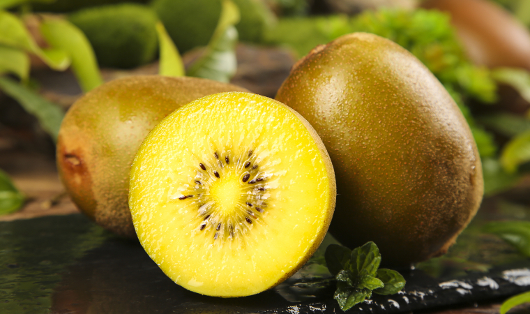 首批中國(guó)產(chǎn)獼猴桃正式亮相智利市場(chǎng)