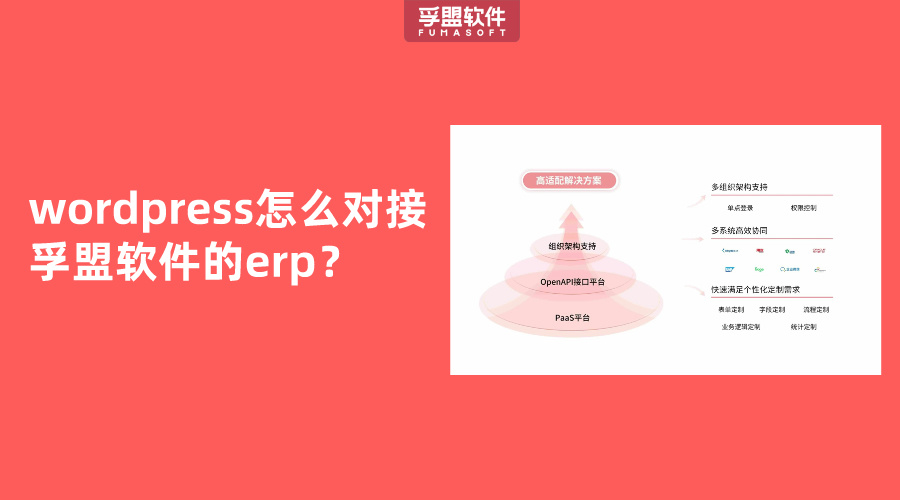 wordpress怎么對接孚盟軟件的erp？