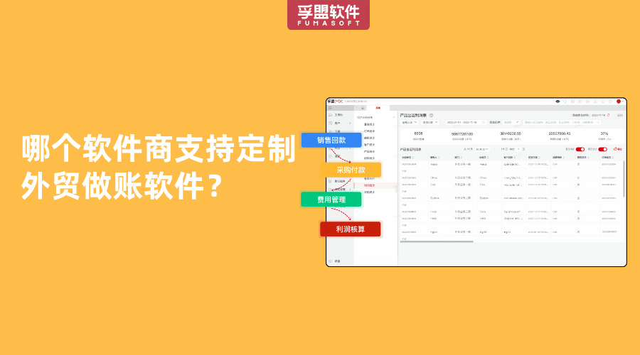 哪個軟件商支持定制外貿做賬軟件？