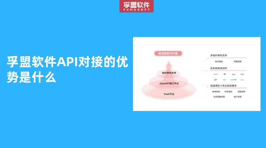 孚盟軟件API對接的優勢是什么
