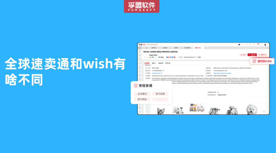 全球速賣通和wish有啥不同